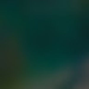 Meet your Posher, Ann